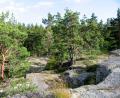 images/Schweden/Schweden 2012/IMG_0654.jpg